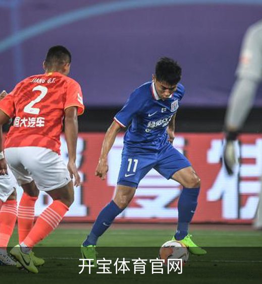 了解开宝体育官网